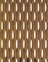 Gefärtbes Designblechmuster Pippin